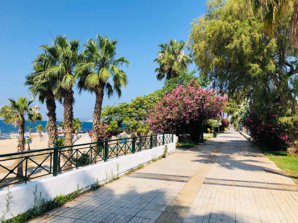 Comfy Paleo Faliro Apartment 雅典 外观 照片